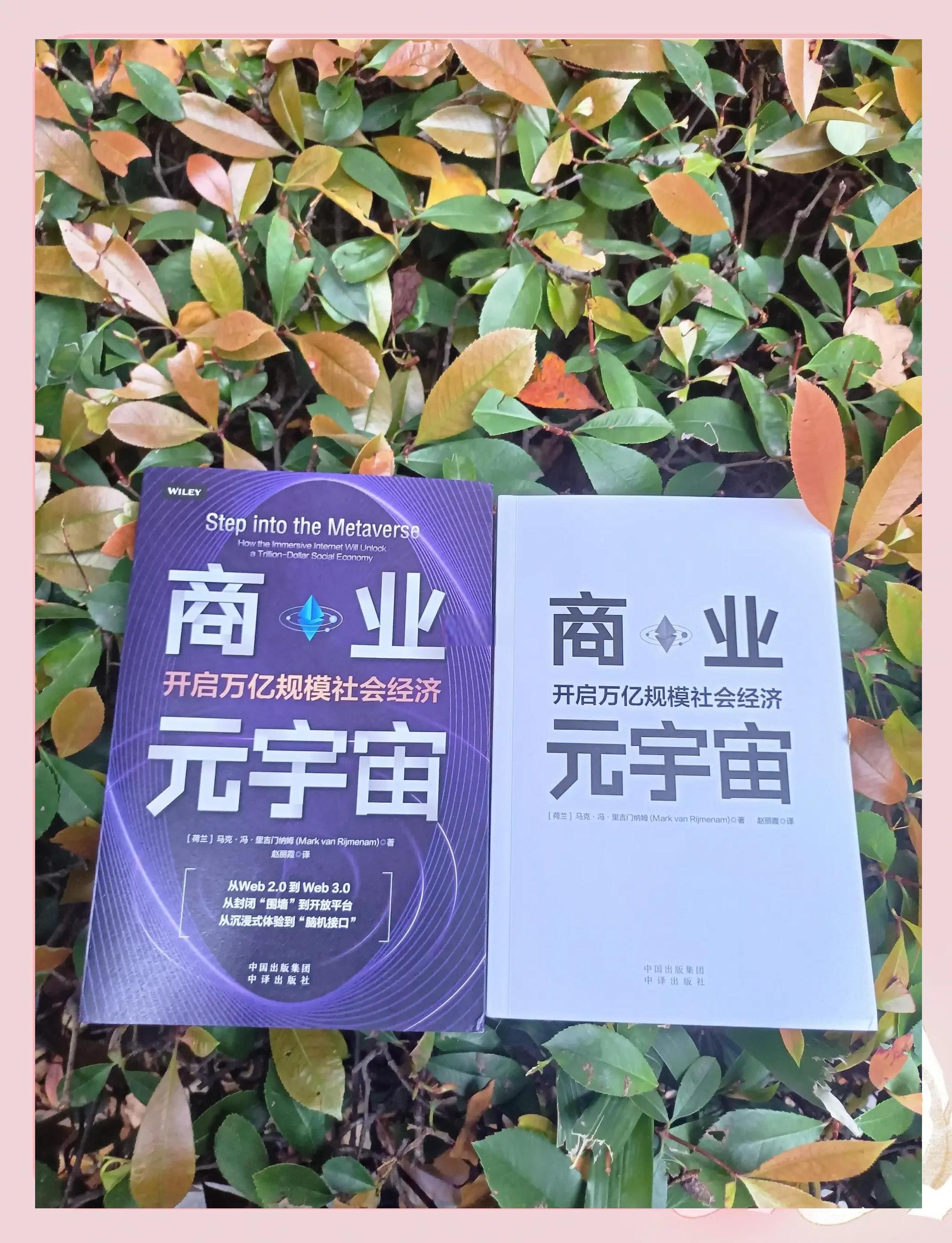 关于元宇宙与区块链投资者看好潜力，行业发展引发关注。的信息